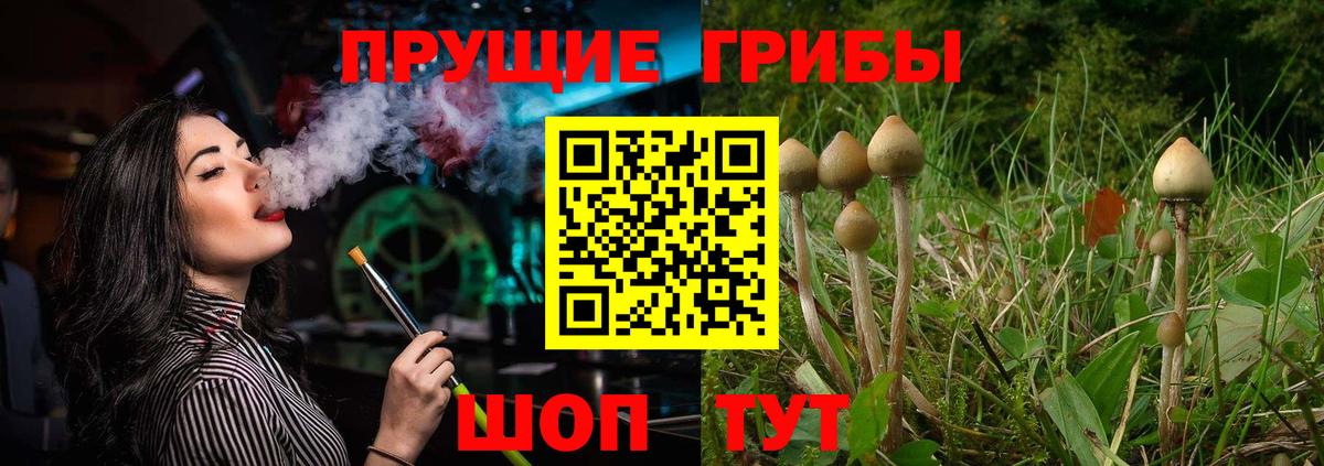 Галлюциногенные грибы GOLDEN TEACHER  Вход с VPN  Чебоксары 